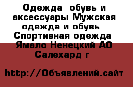 Одежда, обувь и аксессуары Мужская одежда и обувь - Спортивная одежда. Ямало-Ненецкий АО,Салехард г.